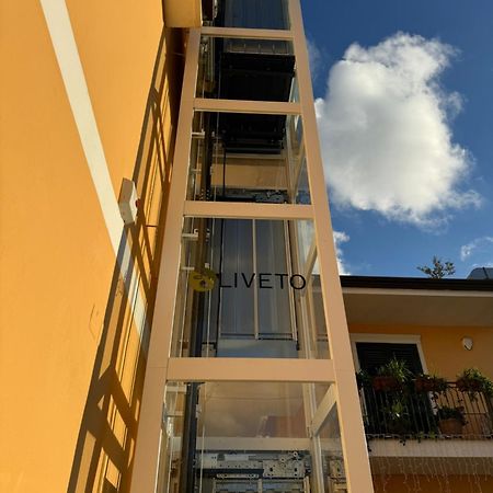 קאסרטה B&B Oliveto מראה חיצוני תמונה